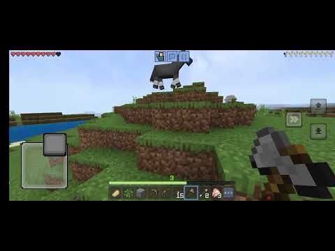 Видео: 31 октября 2025 г.