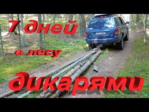 Видео: 7 дней в лесу дикарями. 2 серия.
