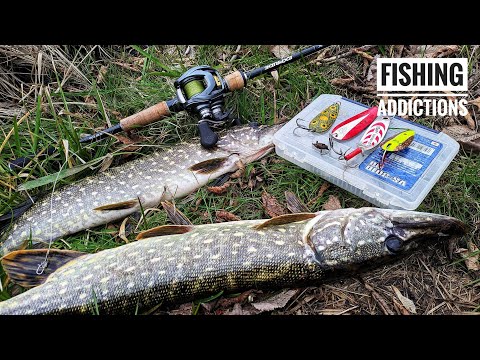 Видео: Ловля щуки на класичні коливалки. MEPPS cyclop. Dardevle eppinger. 