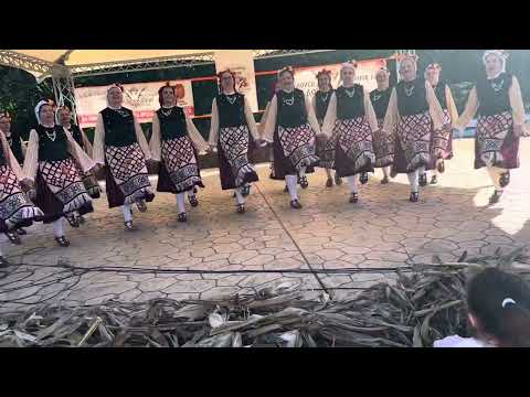 Видео: Състав ФТК 7/8 гр. Добрич ръководител Галина Костова и Коста Костов