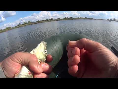 Видео: Осенний мормышинг  Карась на мушку, не только возможно, но и клево!
