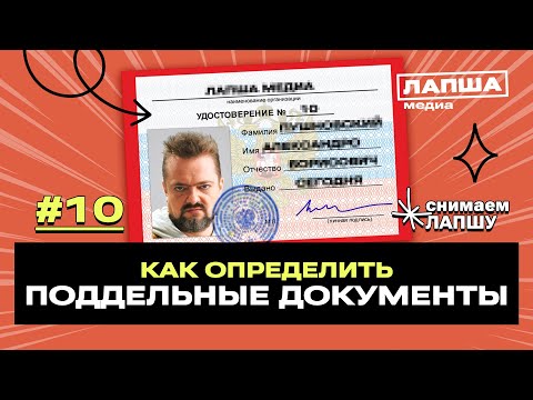Видео: Поддельные документы: как отличить оригинал от фейка. Рассказывает Александр Пушной  | Лапша Медиа
