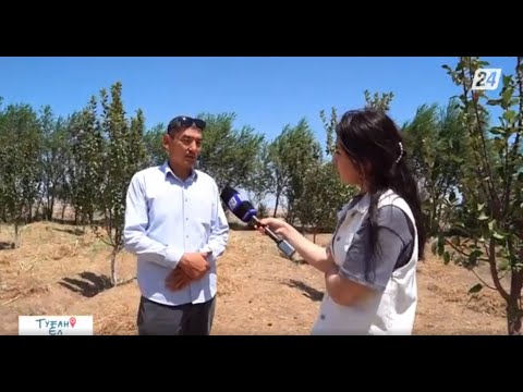 Видео: Ауыл шаруашылығын алға сүйреген азаматтар | Туған Ел