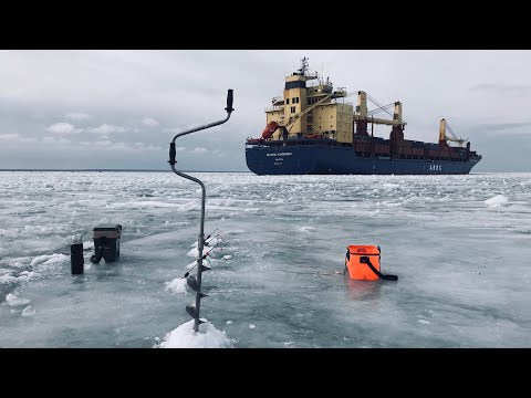 Видео: Корюшка. Финский Залив. Шпунты.