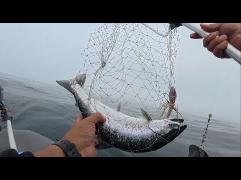 Видео: Морская рыбалка в японском море, троллинг симы на маленькой лодочке п. Рудная Пристань13.06.2025