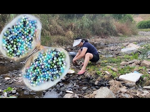 Видео: Получите редкий зеленый жемчуг, выставлены жемчужные устрицы падения уровня воды