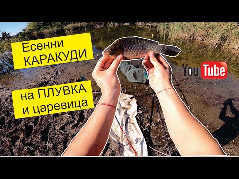 Видео: РИБОЛОВ на КАРАКУДИ през Есента на ПЛУВКА и ЦАРЕВИЦА