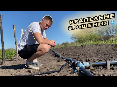 Видео: КРАПЕЛЬНЕ ЗРОШЕННЯ💧Як поливати малину⁉️Поливна система від А до Я⁉️#чп