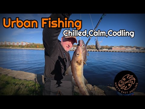 Видео: Ловля трески на реке Тайн | Спокойная городская рыбалка с постоянным экшеном!