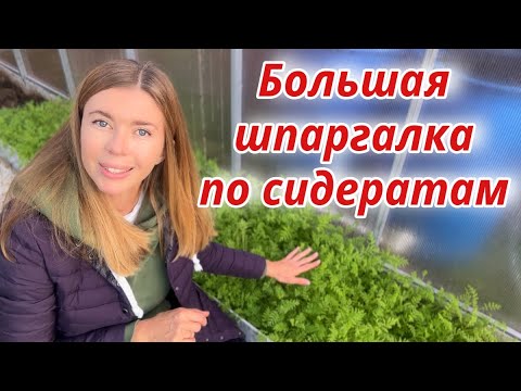 Видео: Осенью обязательно посейте сидераты. Какие выбрать выбрать, что с ними делать после отрастания