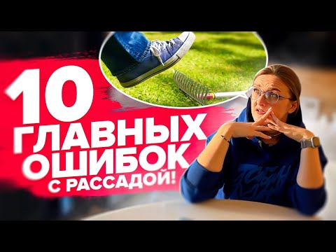 Видео: РАССАДА БОЛЕЕТ! Как вылечить?