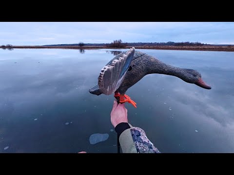 Видео: Охота на Утку с Подхода и на Вечёрке. Закрываю Сезон.