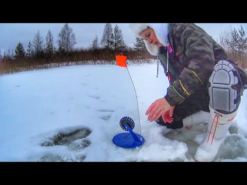 Видео: Что это такое? Я В ШОКЕ. Не успеваю присесть. Рыбалка зимой на жерлицы. Russian fishing