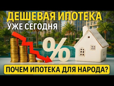 Видео: ЖК СВЕТСКИЙ ЛЕС ПОДКАСТ С ЗАСТРОЙЩИКОМ! ПОЧЕМУ ВСЕ ЕГО ПОУПАЮТ / ЧТО С ИПОТЕКОЙ ЧТО С ЦЕНАМИ