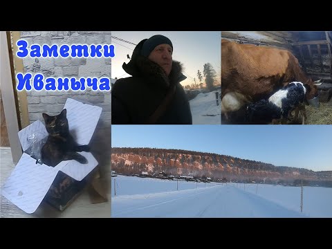 Видео: Лютые морозы, пополнение, ужин от Максима