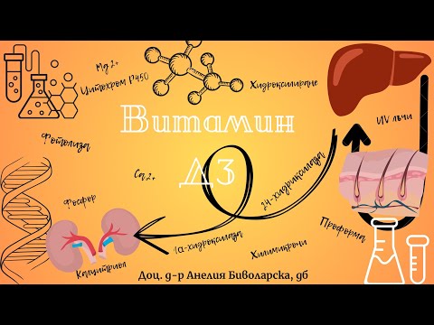 Видео: Витамин D3 - синтез и биологична роля /Vitamin D3 - synthesis and biological role