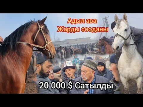 Видео: Ноокат ЖЫЛКЫ Базарды Адыл ава Жарды  Соодасы Кайнаган Ноокат