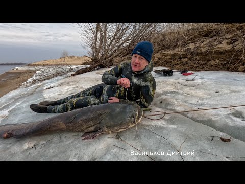 Видео: Подводная охота 12 марта. Сезон 2023.