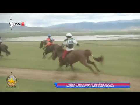Видео: 2019 оны Хөвсгөл Мөрөн хот Хотгойдын хурд 4 хангайн бүс Их нас