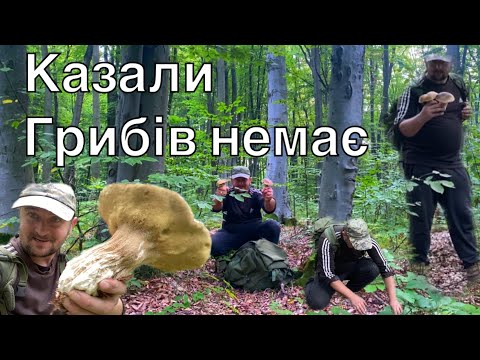 Видео: Це Треба в Неділю в Сухому лісі Набрати скільки Білих Грибів.. Останній день Літа 2025..