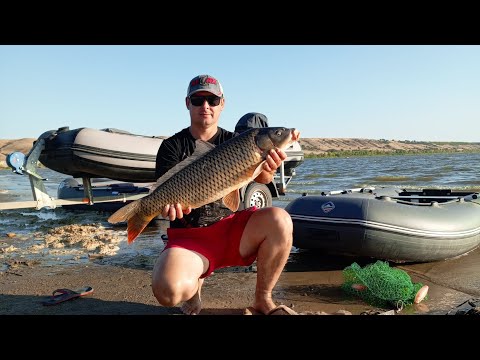 Видео: он клюнул 🐋🎣🌍#рыбалка на крупного сазана ночью сидел в засаде всю ночь и он взялся #fishing #рыжий