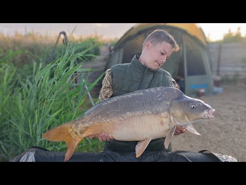 Видео: Просянка 2023. Трудовая рыбалка и атака карпов Кои!🔥