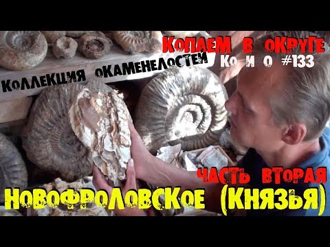 Видео: Ко и О #133 НОВОФРОЛОВСКОЕ ОКАМЕНЕЛОСТИ АММОНИТЫ PALEONTOLOGIST COLLECTION OF AMMONITES FOSSILS