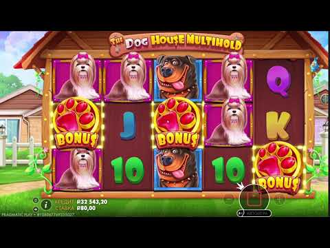 Видео: СОБАКИ ЗАНОСЯТ КАК ДЕНЬГИ ТАК И КОНТЕНТА!ЗАНОС СОБАК!