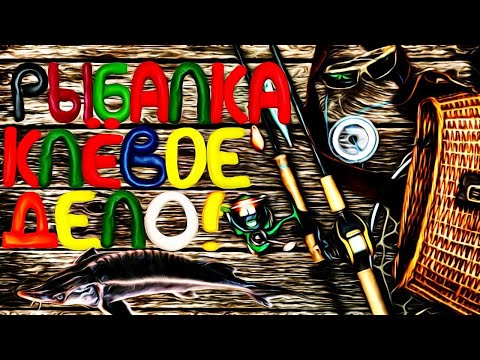 Видео: Рыбалка-клёвое дело/Приколы на рыбалке/Смешная рыбалка/Рыбалка с Юмором/Трофейная рыбалка