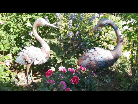 Видео: Нілині мандри.🚙 Сад Людмили Олександрівни.💕