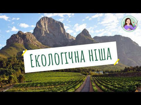 Видео: Екологічна ніша