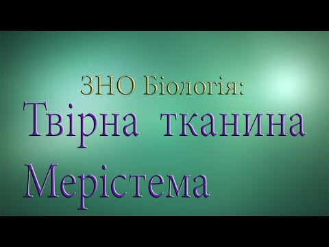 Видео: ЗНО Біологія  Твірна тканина