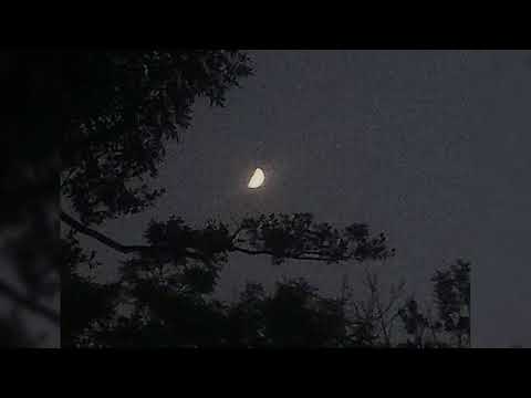 Видео: Король и Шут - Садовник /speed up/nightcore