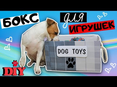 Видео: DIY | БОКС ДЛЯ СОБАЧЬИХ ИГРУШЕК | ГДЕ ХРАНИТЬ СОБАЧЬИ ИГРУШКИ?