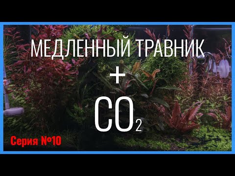 Видео: Серия 10. Подача CO2 в медленный травник со слабым освещением и малой дозой удобрений