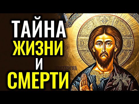 Видео: 🙏БИБЛЕЙСКАЯ ИСТИНА О ЖИЗНИ ПОСЛЕ СМЕРТИ — ПОМОЛИСЬ И УСЛЫШЬ БОГА. ОТВЕТ, КОТОРЫЙ ИЩЕТ КАЖДАЯ ДУША