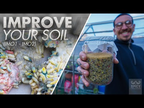 Видео: Корейское натуральное земледелие | ИМО 1-2