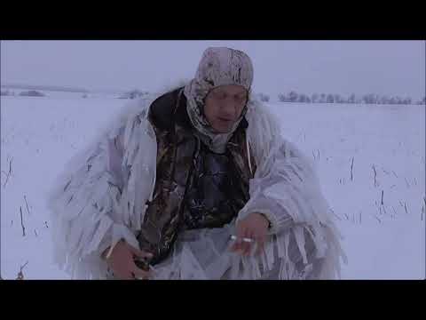 Видео: Охота на лис. Дальность прямого выстрела 223rem