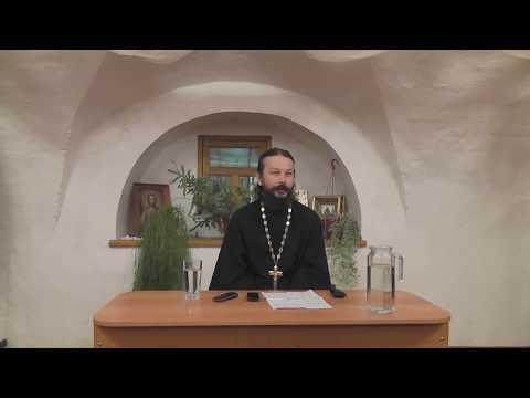 Видео: Ошибки добрачных отношений. О. Павел Гумеров.