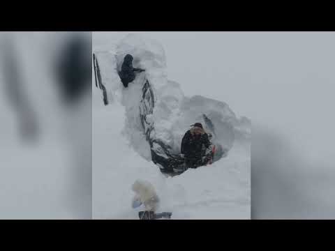 Видео: Жуткая метель на Сахалине или квест по-сахалински. 23-24-25-26 января 2024. часть 1