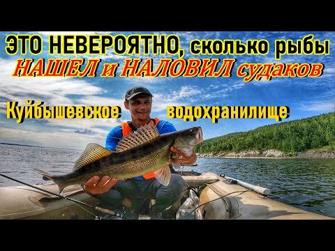 Видео: НАШЕЛ И НАЛОВИЛ СУДАКА/КУЙБЫШЕВСКОЕ ВОДОХРАНИЛИЩЕ/ТОЛЬЯТТИ