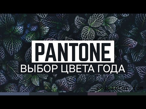 Видео: Цветовая алхимия Pantone: Цвет года 2024 раскроется в ТАЙНОЙ комнате! 💄🔮