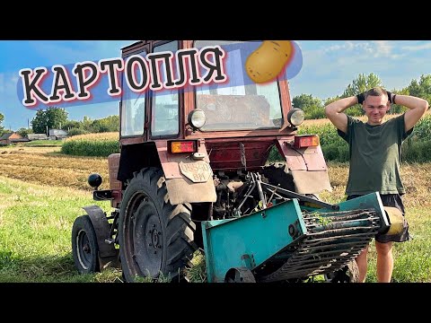 Видео: КАРТОПЛЯ 🥔 ТАКОГО ВРОЖАЮ ЩЕ НЕ БУЛО
