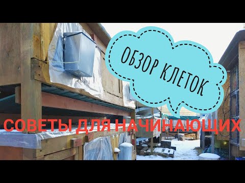 Видео: Обзор клеток, советы для начинающих кролиководов: