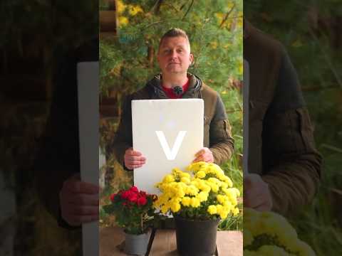 Видео: Никогда не выбрасывайте пенопласт! Это лучший друг цветоводов и огородников!