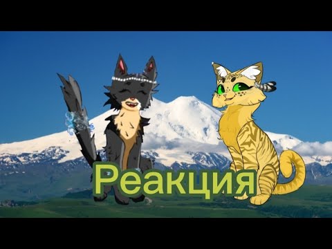 Видео: Реакция на @Gloomy_Star-Gloom_Heart_КВ