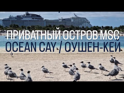 Видео: OCEAN CAY ОУШЕН-КЕЙ Круиз #круиз #лайнер #путешествия #круизы #msc #багамы #жизньвгермании #круизер