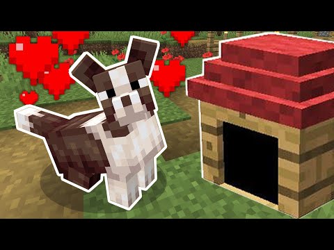 Видео: НОВЫЕ СОБАКИ В МАЙНКРАФТ ОБНОВЛЕНИЕ ! ТРОЛЛИНГ ЛОВУШКА MINECRAFT ОБЗОР