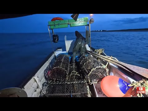 Видео: Спешу забрать последние удочки сезона, пока не стемнело. Привезу последние удочки домой. Морская ...