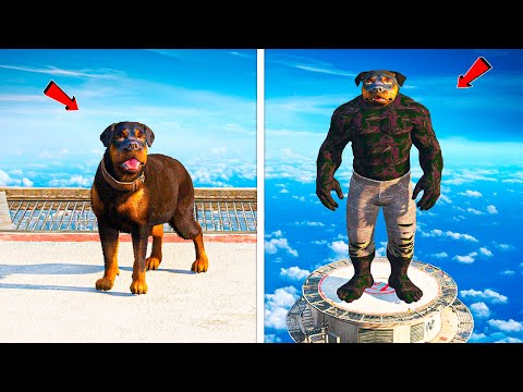 Видео: ЧОП ӘЛСІЗДЕН МЫҚТЫҒА АЙНАЛДЫ (GTA V)